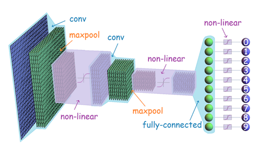 neural network architecture